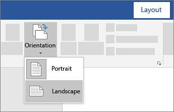 Page orientation options showing Portrait and Landscape on the Layout tab