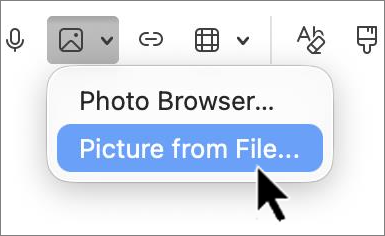 Insert picture dialog